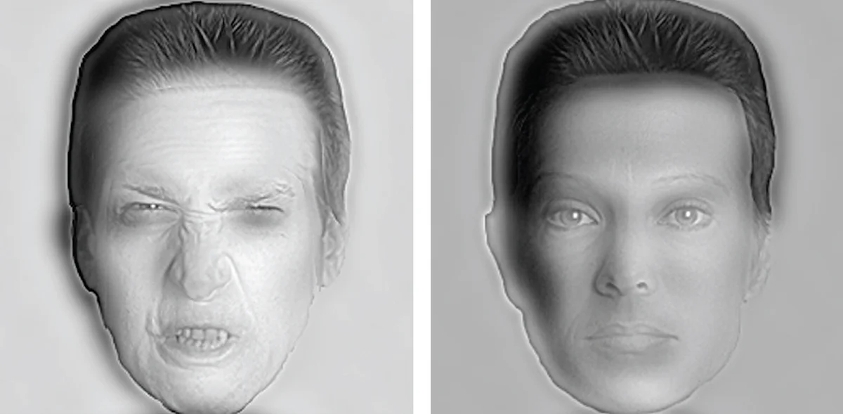 Face Recognition Gone Wrong Real Stories (2)